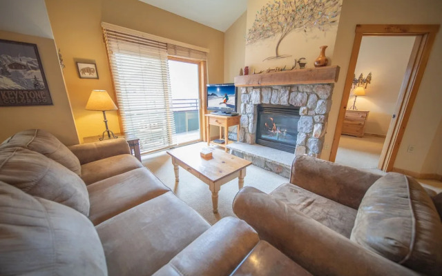 Buffalo Lodge 8419 by SummitCove Vacation Lodging