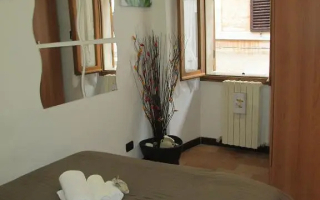 Tulipano Rosa