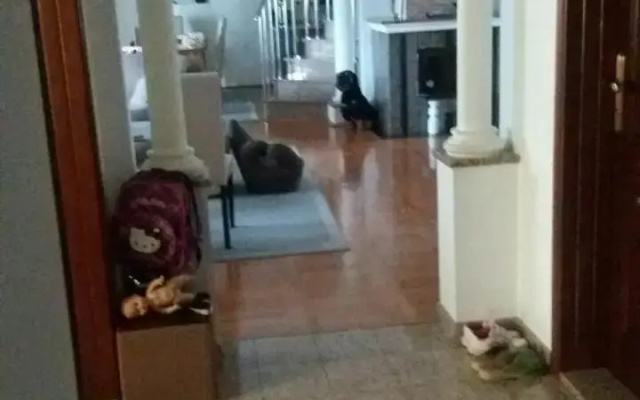 S&Z Hostel