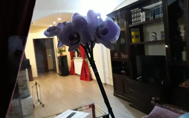 La Camelia B&B