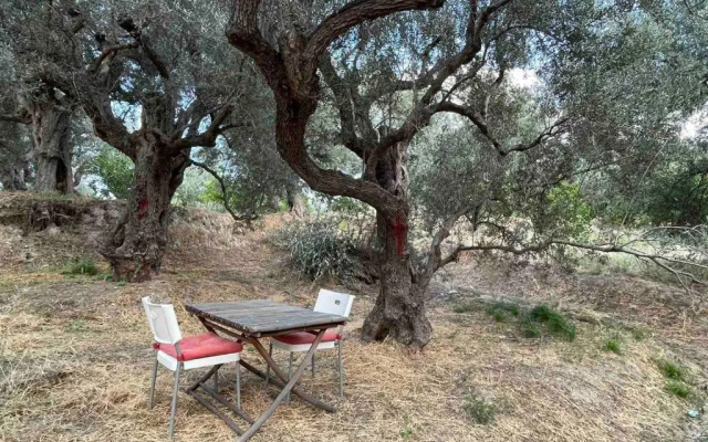 Tent by the sea, private toilet and kitchenette