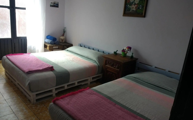 Casa A29