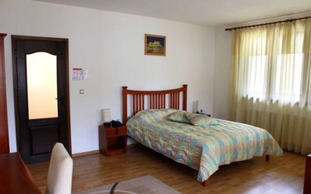 Отель Hemus Hotel Болгария, Боженци - отзывы, цены и фото номеров - забронировать отель Hemus Hotel онлайн комната для гостей