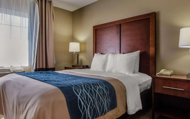 Comfort Inn & Suites Jackson - West Bend