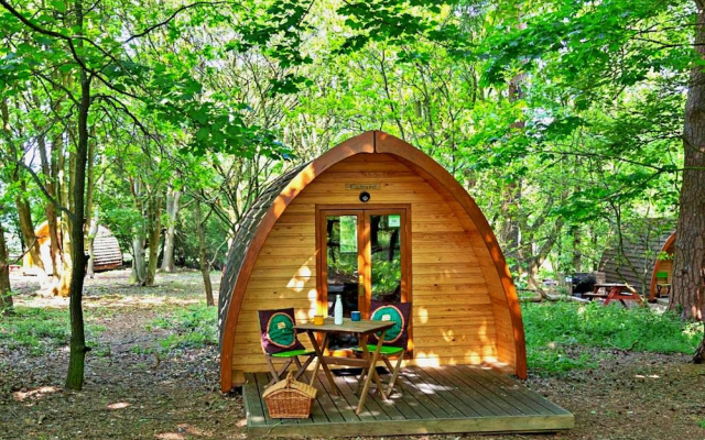 Glamping Pod in Bury St Edmunds Woodland