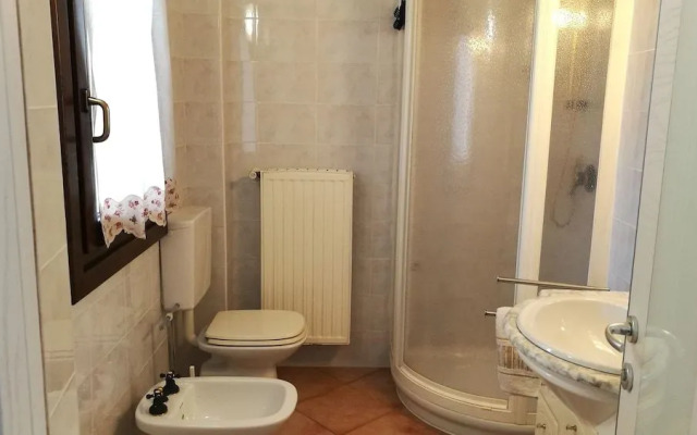 Le Cicogne
