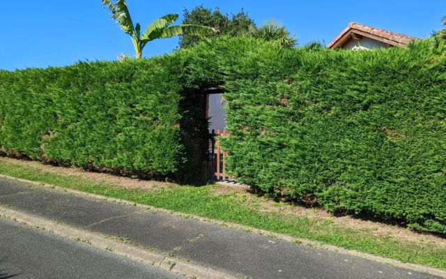 Guest House au milieu des palmiers