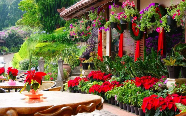 Talita Resort Ciloto Puncak