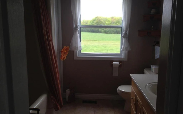 Meadowview Cottages