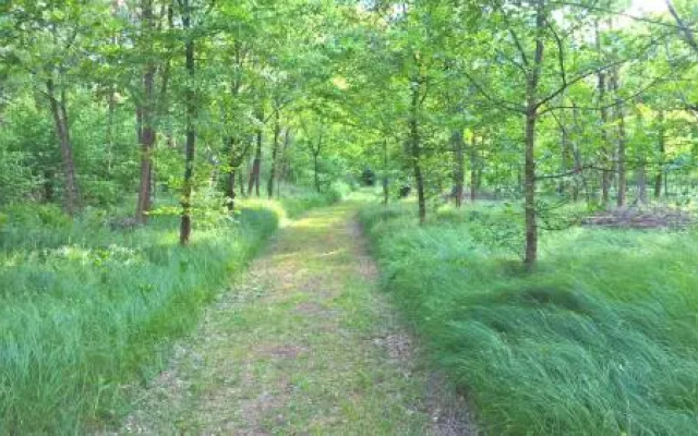Agriturismo La Forestina