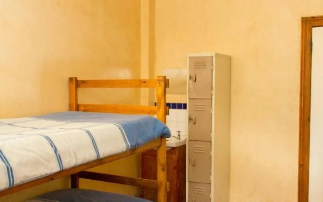 Carnival Court Backpackers - Hostel