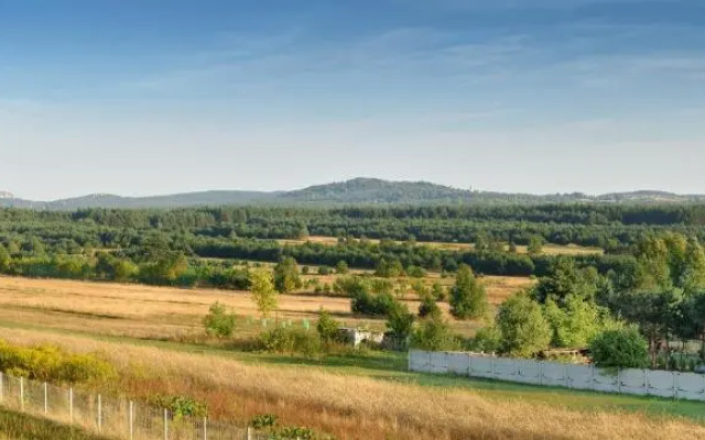 Jurajska Stokrotka