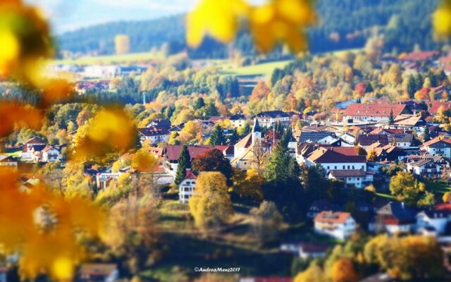 Haus Vierjahreszeiten In Bodenmais Germany From 77 Photos