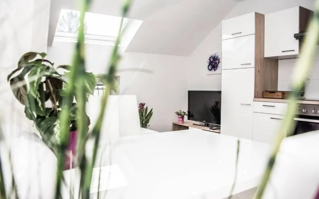 Apartment PourinGraz für Kunst- und Tennisliebhaber