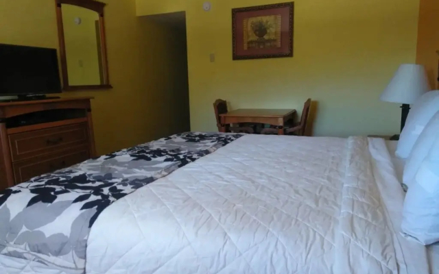 Americas Best Value Inn American Motor