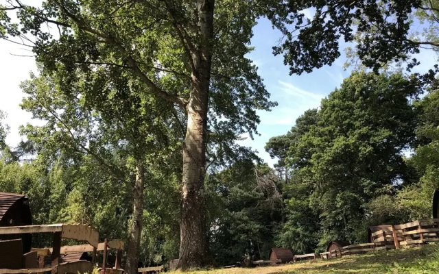 Edinburgh Cabin Camping