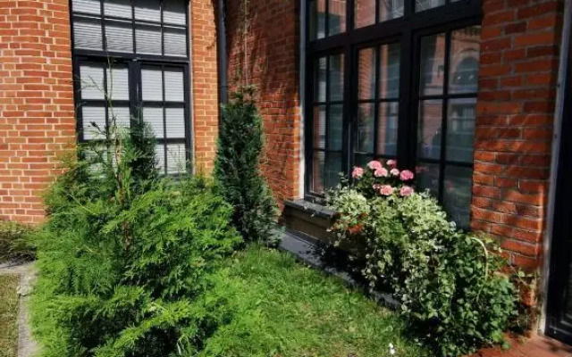 Loft Niezapominajka