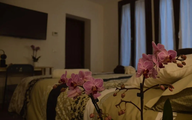 Rialto Suite 707