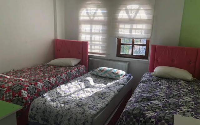 Loopy Lodge Hotel