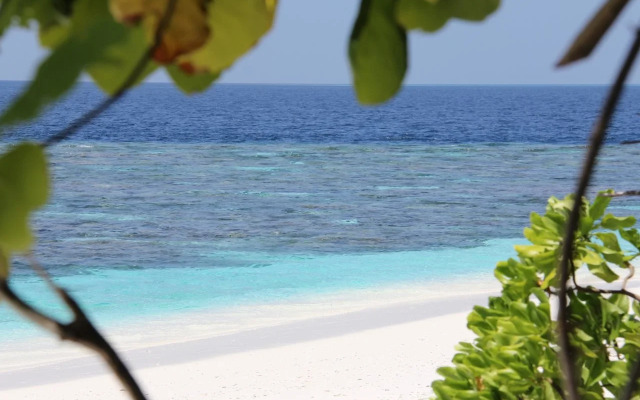 Dhivehi Experience