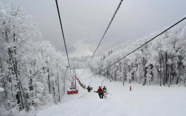 Cabane Cota 1000