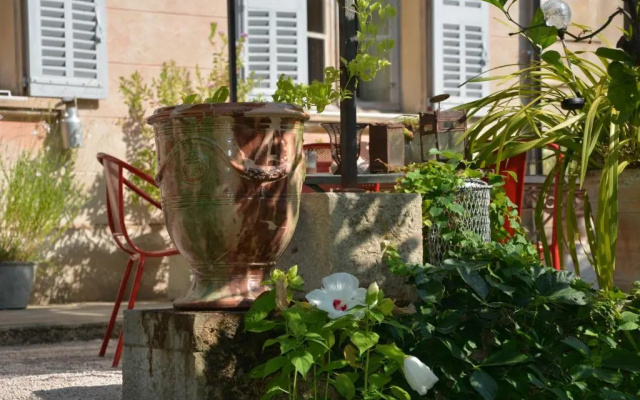 Les Passiflores