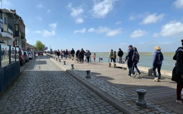 Sur le chemin des phoques