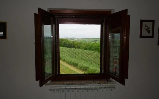 Agriturismo Montegonfoli