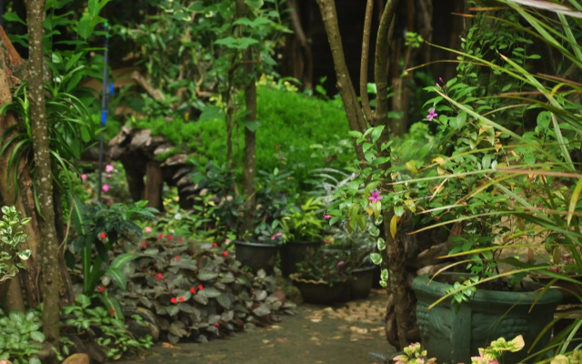 Kumbuk Tree House
