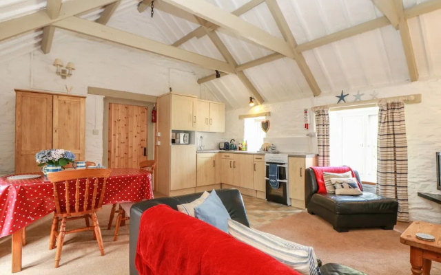 Copper Beech