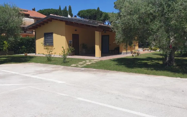 LAntico Vigneto