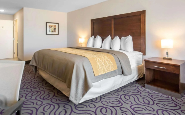 Comfort Inn & Suites Lovington