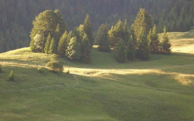 Alpenhof