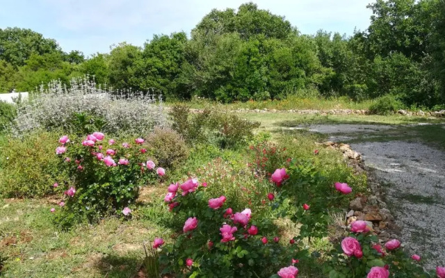 Entre Brousse Et Garrigue