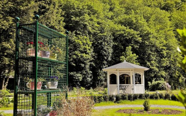 Hotel Haus Christa In Bad Bertrich Germany From 95 Photos