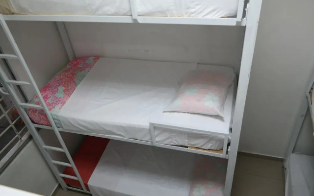 Coccoloba hostel
