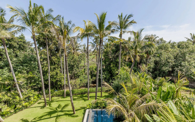 Design Perfection in Pererenan
