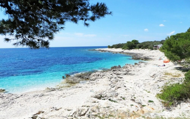 Oasis - 50 m From the sea - SA1