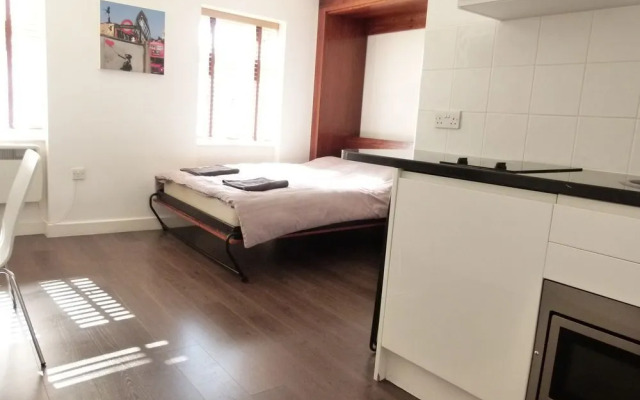 SS Property Hub - City of London Studio Apartment 12