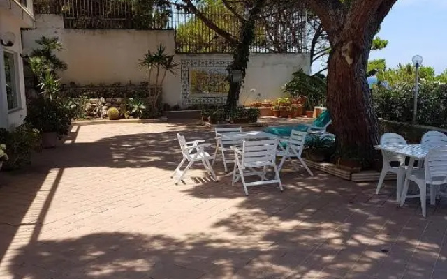 Suite Panoramic