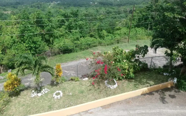 Royal Villa 360