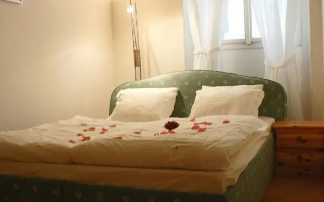 Historical Town Apartment