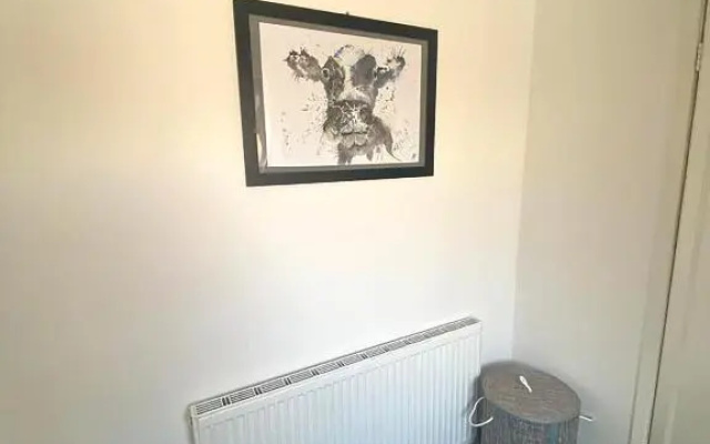 Aire Street -Tsac (Adults Only)
