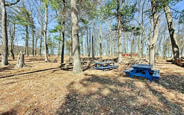 180-acre Farm: 'the Lodge' in Klingerstown!