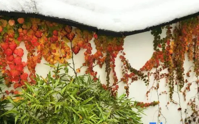 Shaoxing Baozong Jingshe Homestay