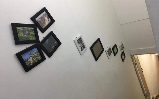 Meow Hostel
