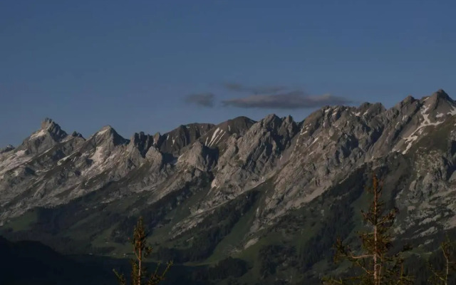 La Belle Etoile