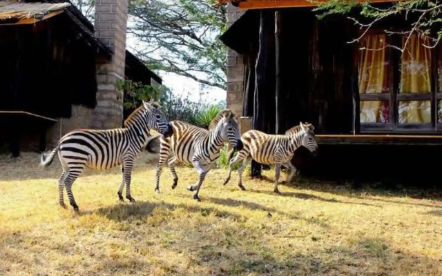 Maralal Safari Lodge