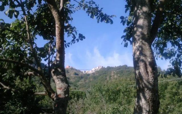 Il Gelso