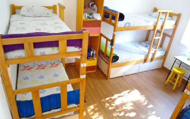 3Dogs Hostel São Paulo